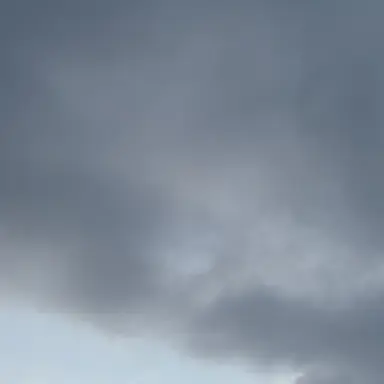 Profile image of 수현