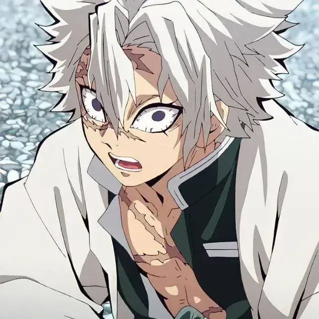 BalmyChain5529의 Sanemi