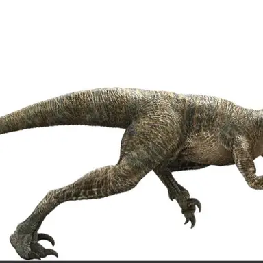 Profile image of 에코