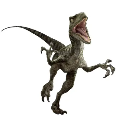 Profile image of 찰리