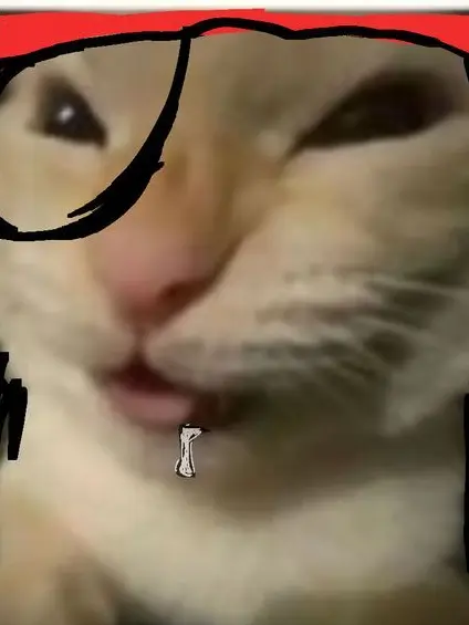 Aaaaaaaaaaaaaaaaal의 Bircher Vanity