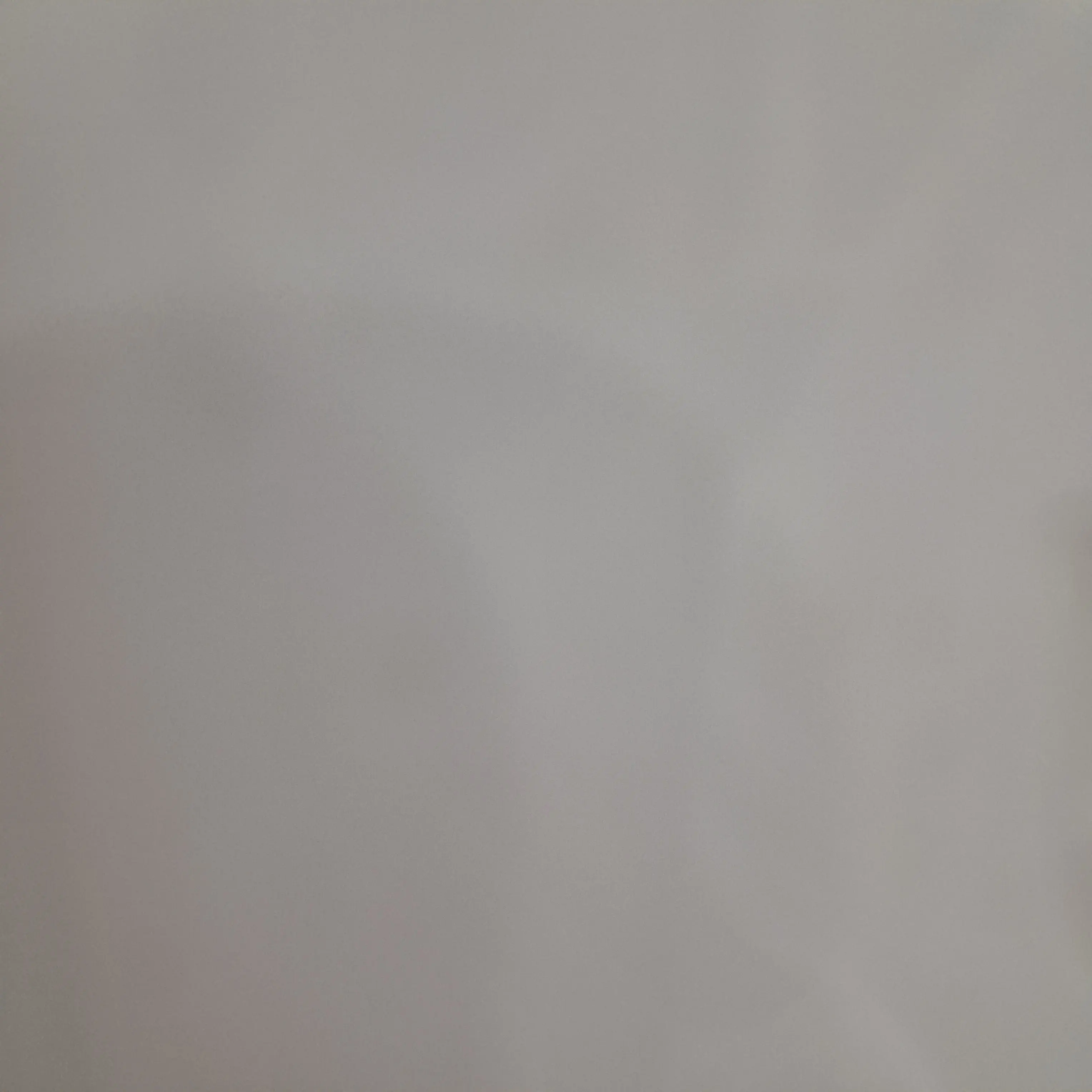 MOA_TXT03_04의 냥냥즈