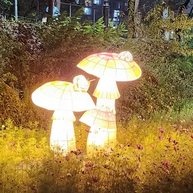 Profile image of 우참