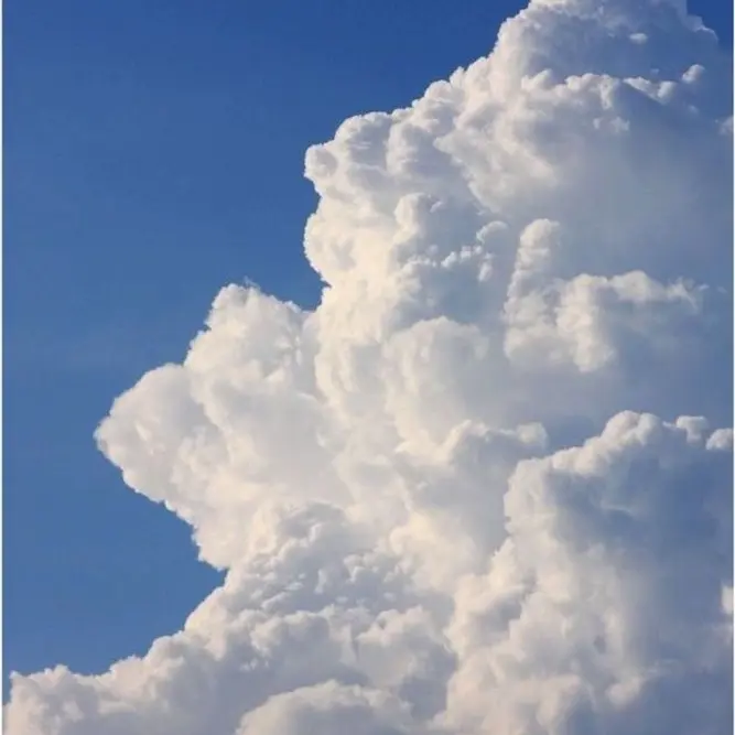 BlankAnger7086의 팀나빠 간지럼