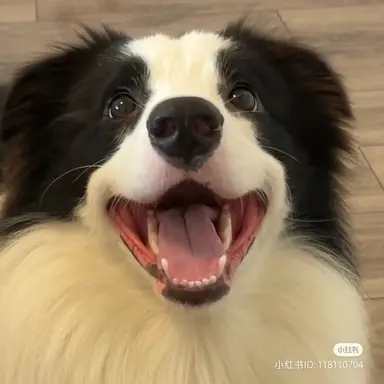 Profile image of 알버스 포터