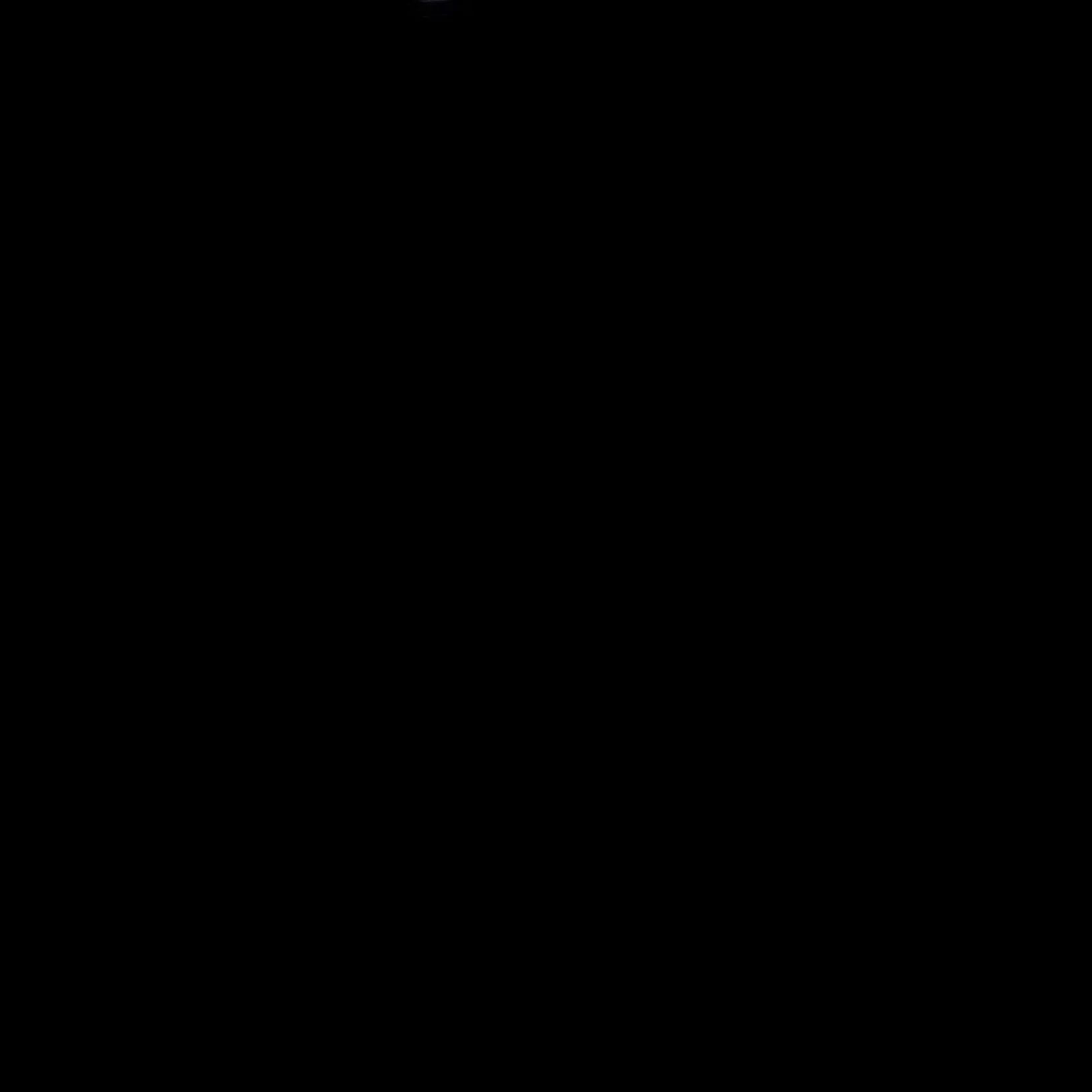 정현중