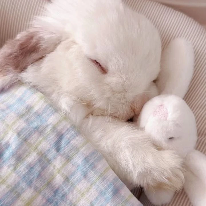 윤정한