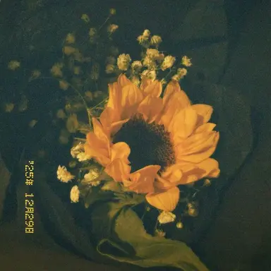 Profile image of 패럿