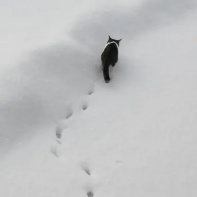 Profile image of 토쿠노 유우시