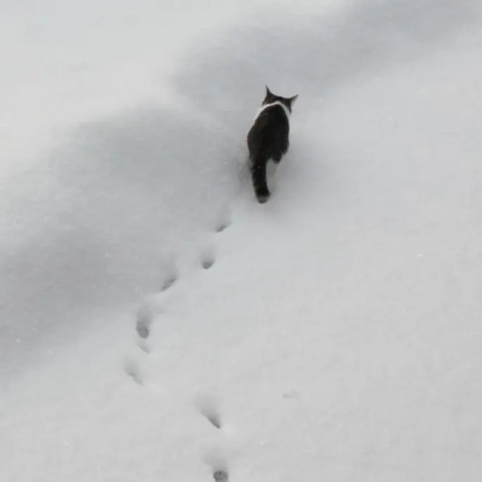 hirosewife의 내 겨울 옆구리 지킴이