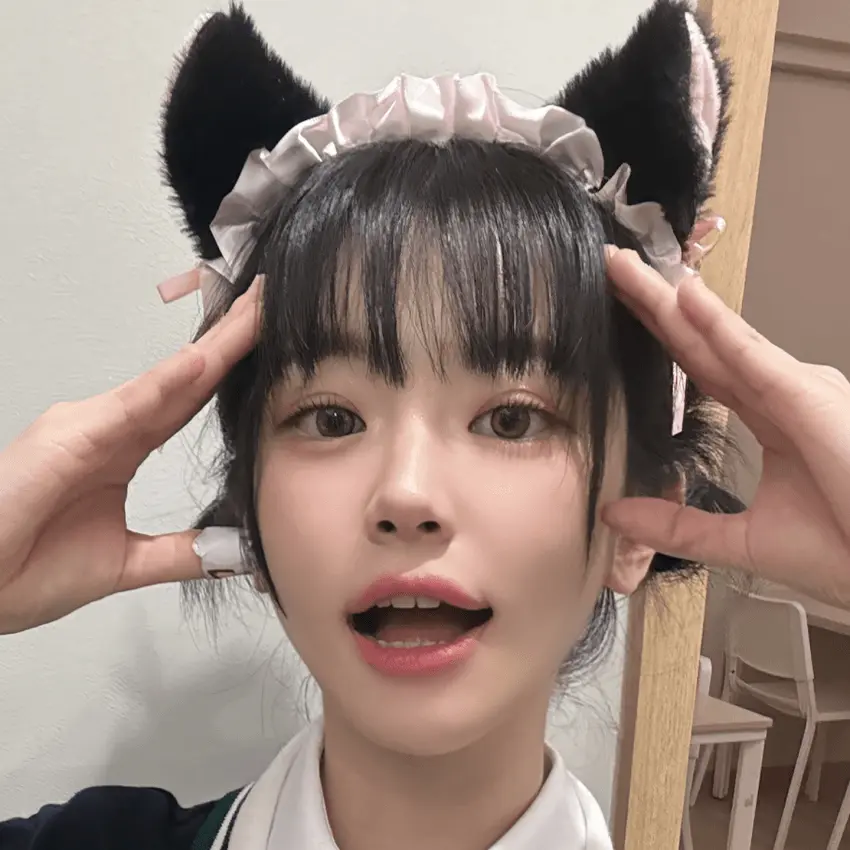 JoyfulTree2421의 쵸단
