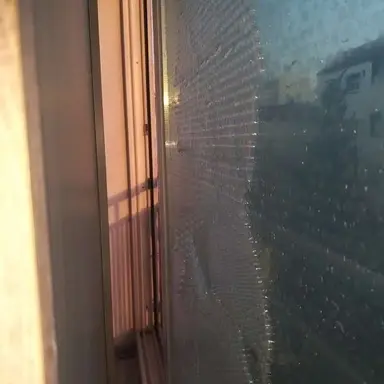 Profile image of 에녹 오벌