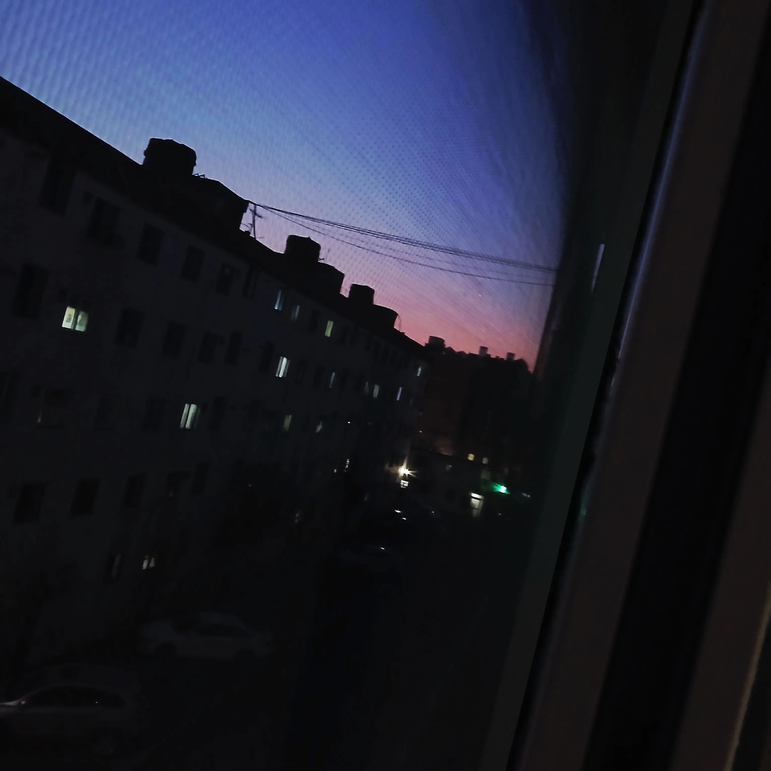 TestyPaste3111의 레인 한스