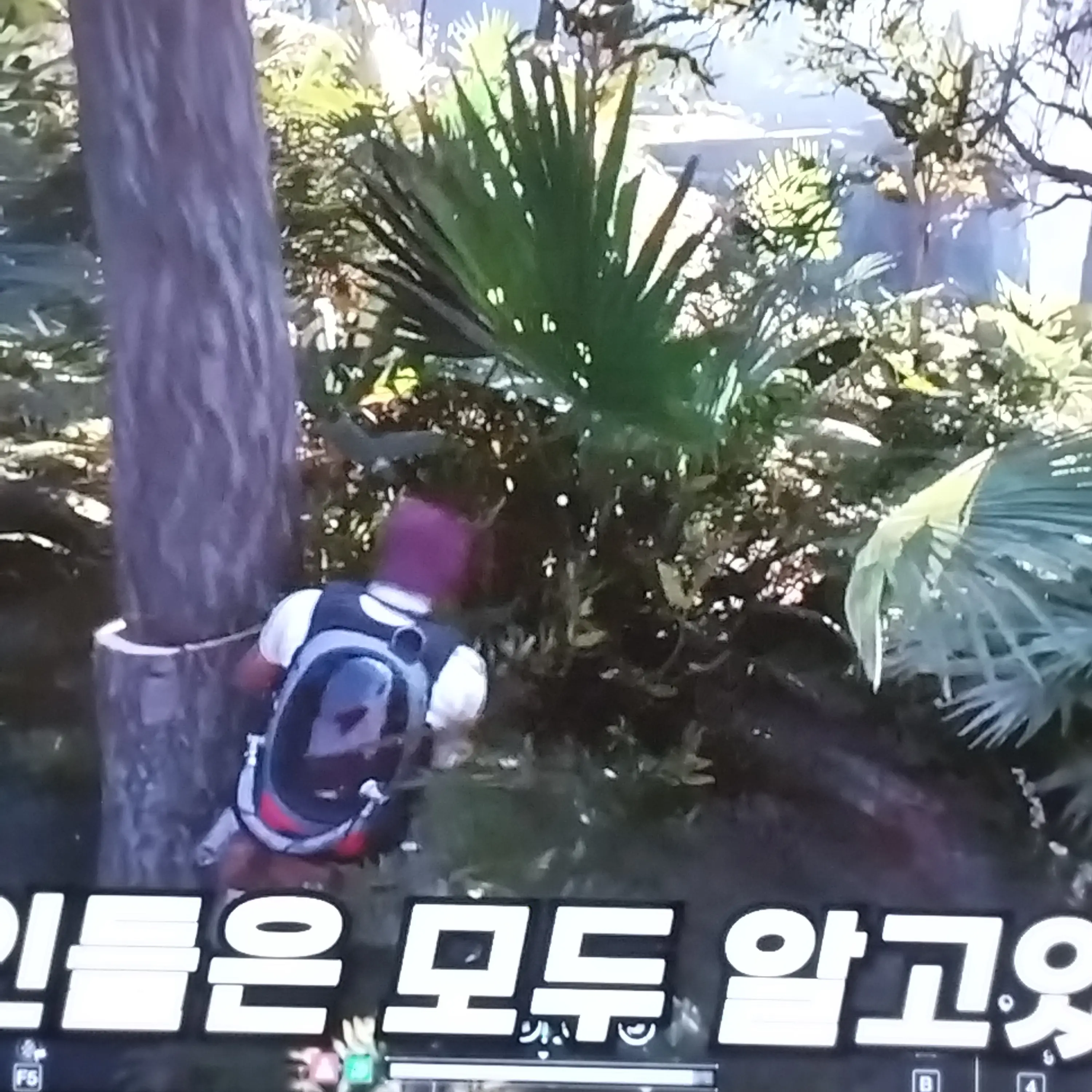 PlacidStove8536의 로빈원스후먼