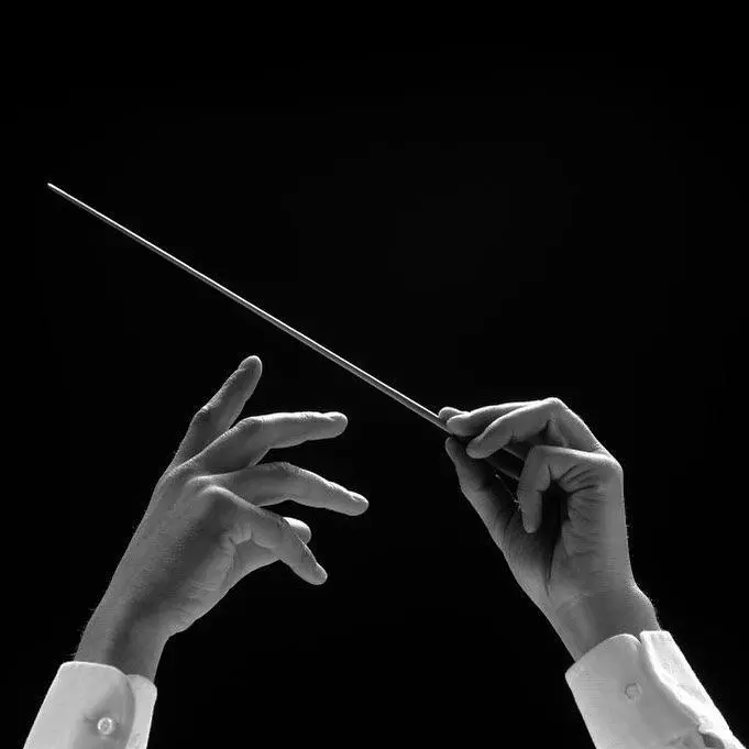 LotusTheme의 The Silent Orchestra