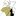잭 Jack