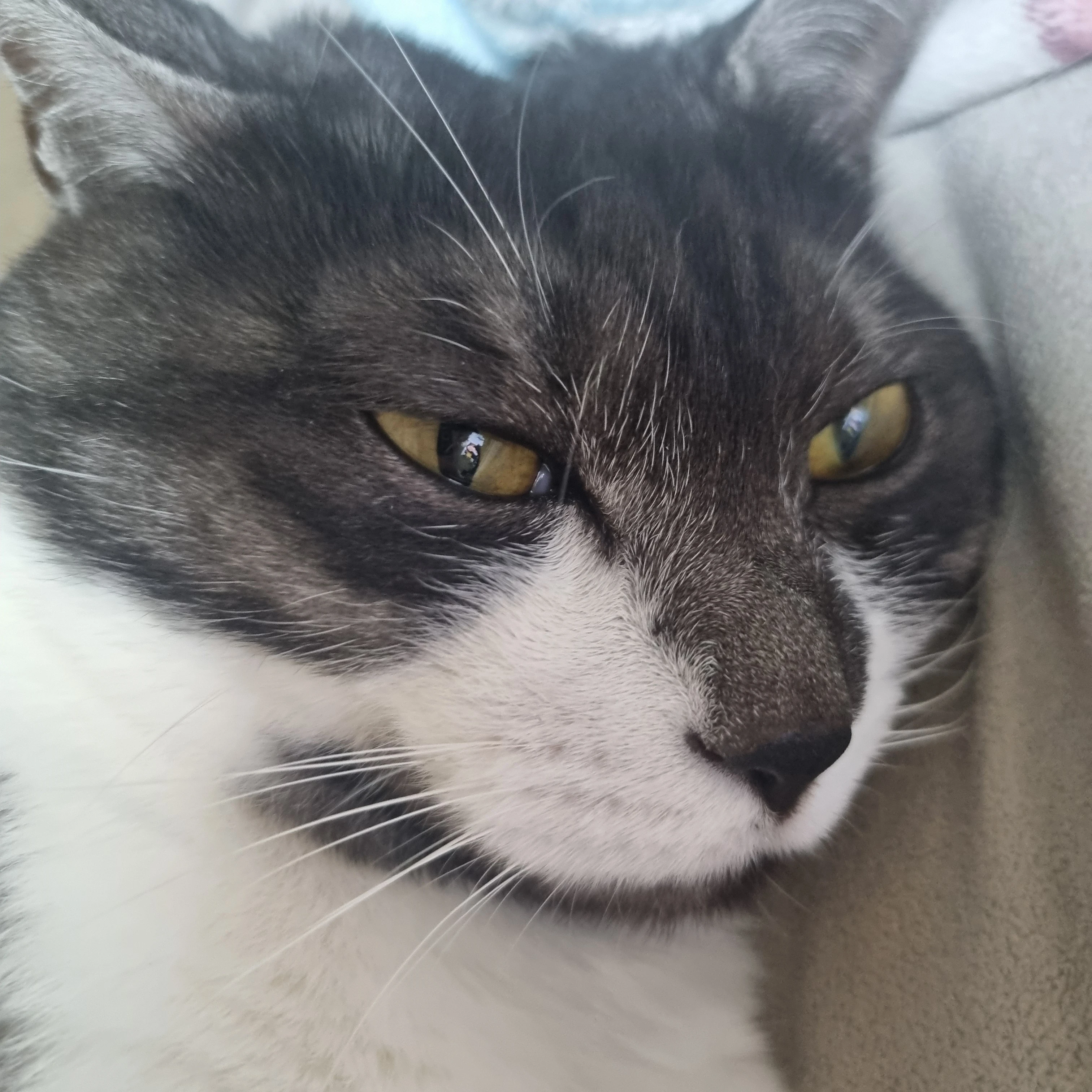 루루