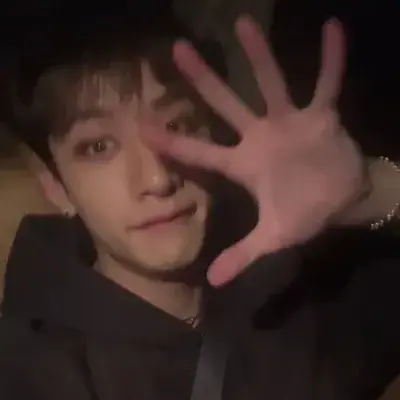 JaggedGolf9377의 Bangchan friend