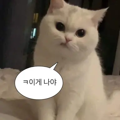 Profile image of 냥쉼터 사장