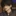 데브