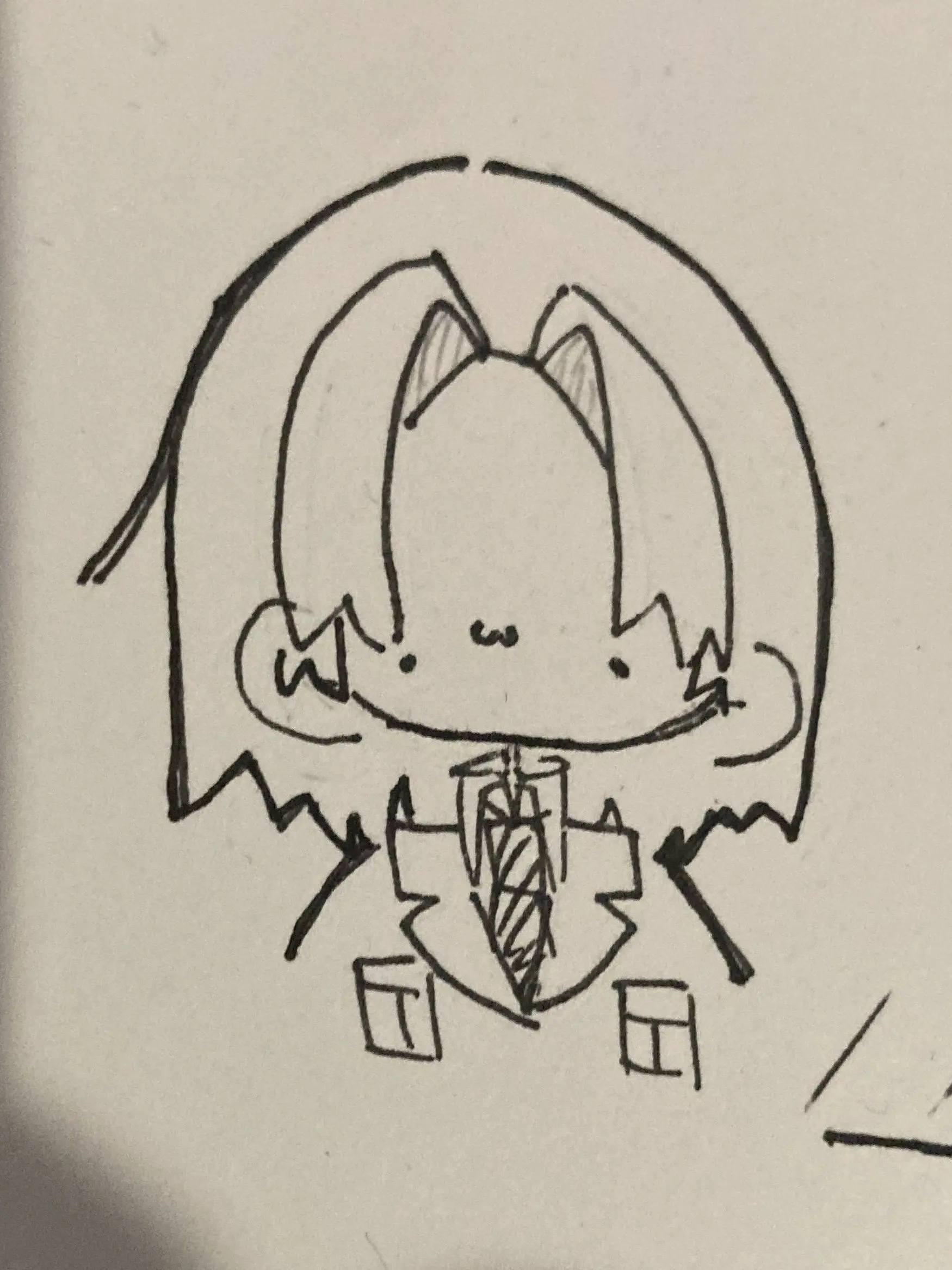 Kuukou__desu2525의 🇱🇹 リトアニア