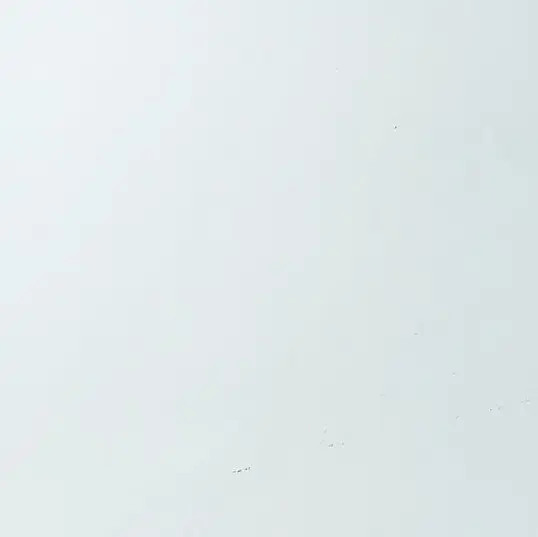 Dbstjf.의 천카이원