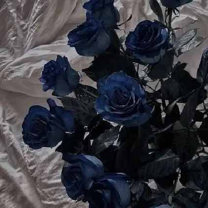 BlankPaint3087의 아픔