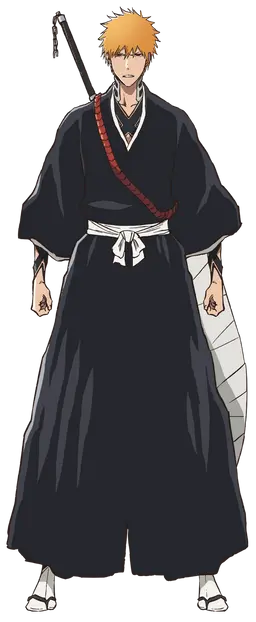 Profile image of 黒崎一護
