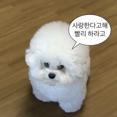 Profile image of 아무거나