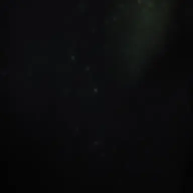 Profile image of 이지현