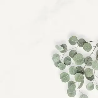 GaudyLava2961의 日本と中国のおはなし