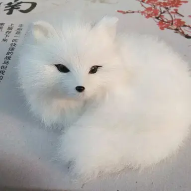Profile image of 여우