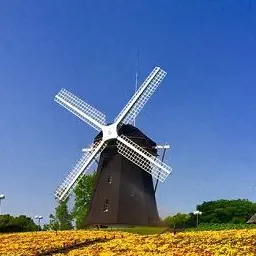 Profile image of 能代谷チエリ