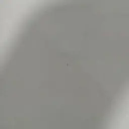 Profile image of 空