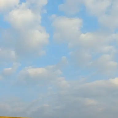 Profile image of 공지입니다