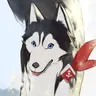 Profile image of トゥガリン