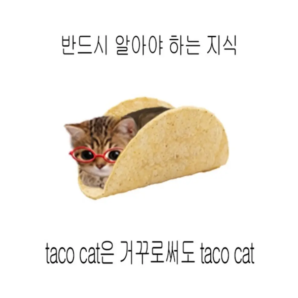 DryPie4589의 커뮤에서만난사이도사랑이야?