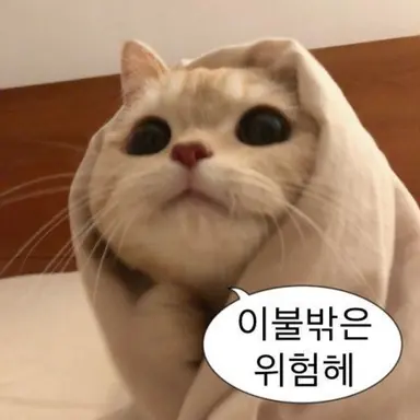 Profile image of 영이