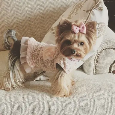 Profile image of Princess