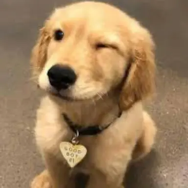 Profile image of 박지원