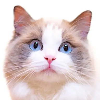 Profile image of まる