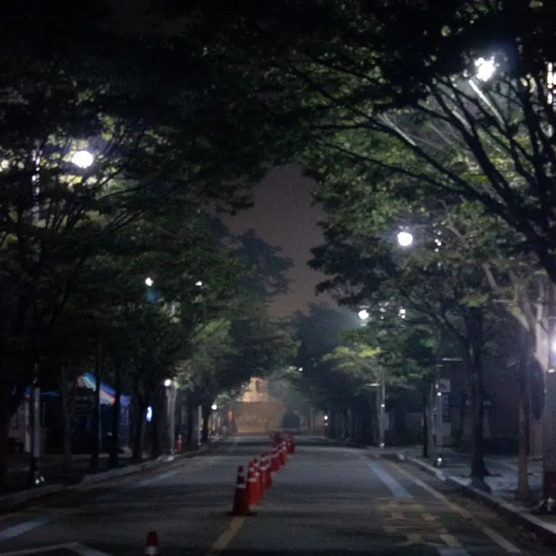 CyanBrick2684의 김욵학