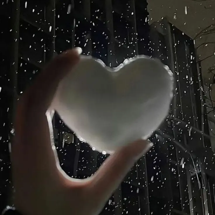 LeafyVein8704의 🤍