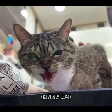 Profile image of 유하