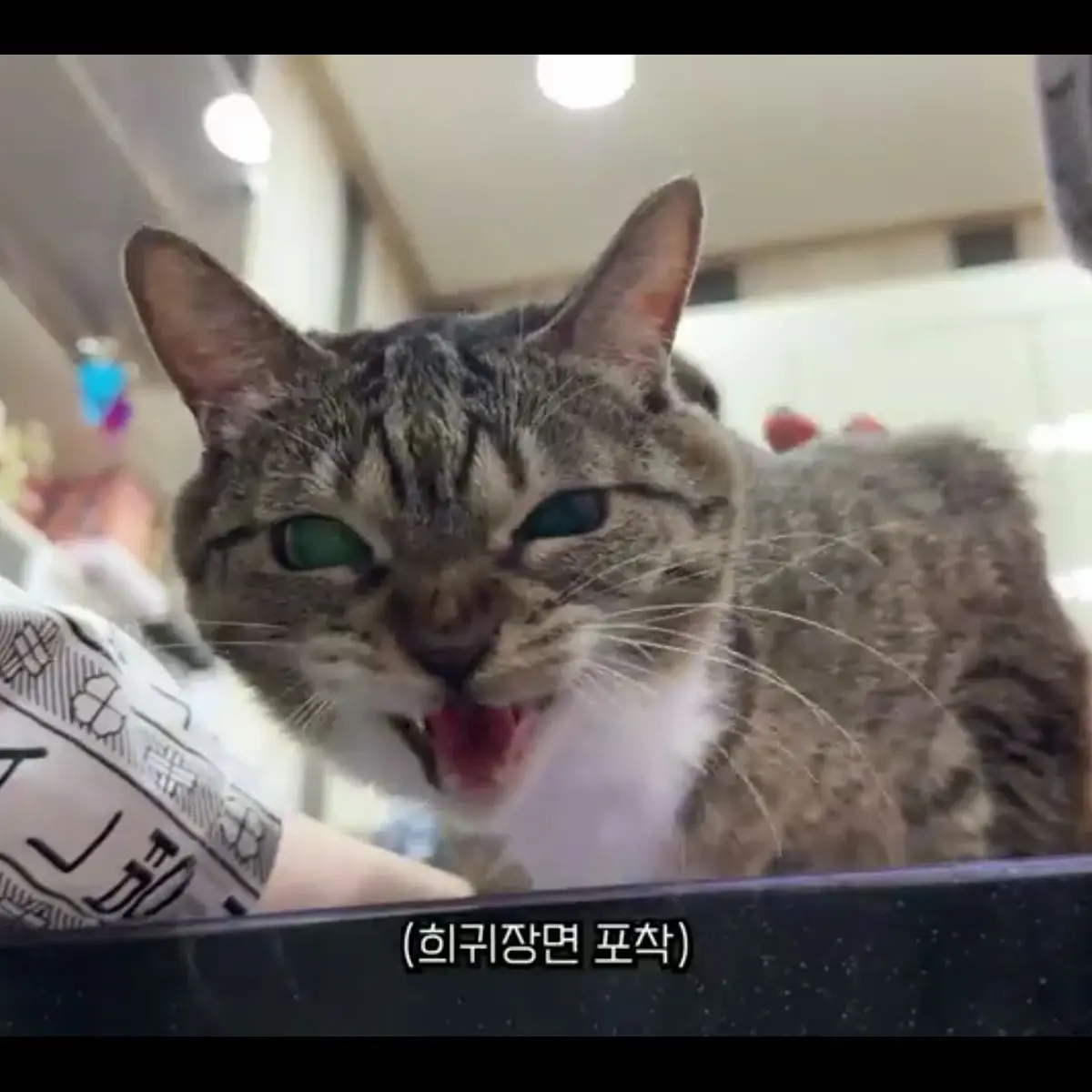 DaftGesso3608의 방귀쟁이 ㅅㄲ