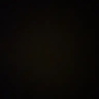 Profile image of 최-범.규