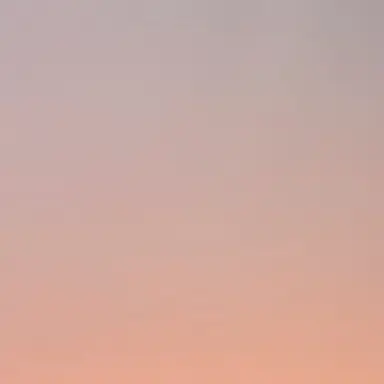 Profile image of 坂本太郎