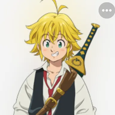 Profile image of メリオダス