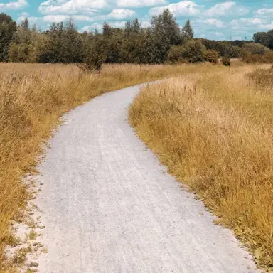 Profile image of 유기사와 여우.