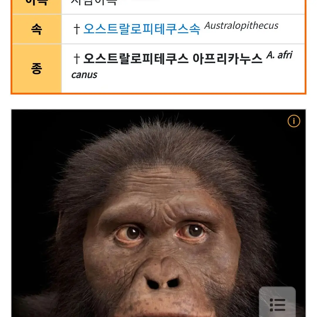 AngryHeart0072의 두바이에간선율이와친구들?!!!!